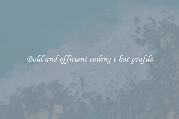 Bold and efficient ceiling t bar profile