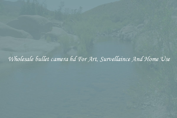 Wholesale bullet camera hd For Art, Survellaince And Home Use