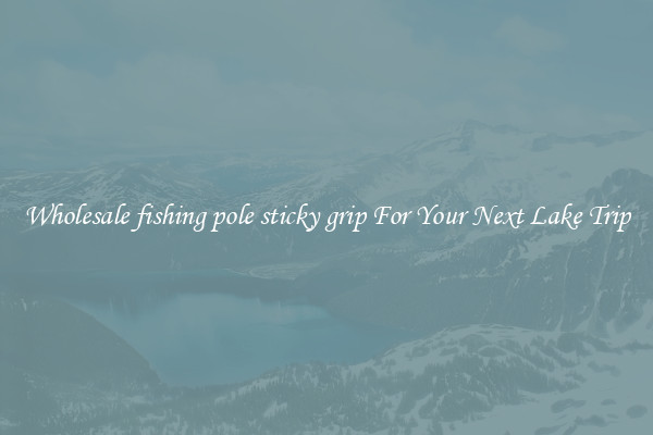 Wholesale fishing pole sticky grip For Your Next Lake Trip