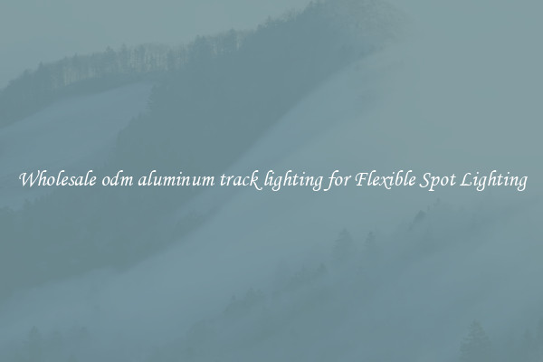 Wholesale odm aluminum track lighting for Flexible Spot Lighting
