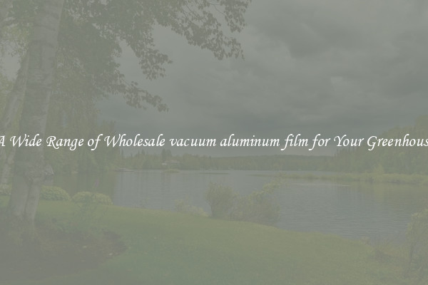 A Wide Range of Wholesale vacuum aluminum film for Your Greenhouse