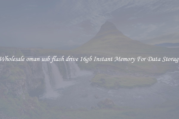 Wholesale oman usb flash drive 16gb Instant Memory For Data Storage