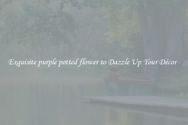 Exquisite purple potted flower to Dazzle Up Your Décor  