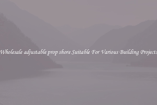 Wholesale adjustable prop shore Suitable For Various Building Projects
