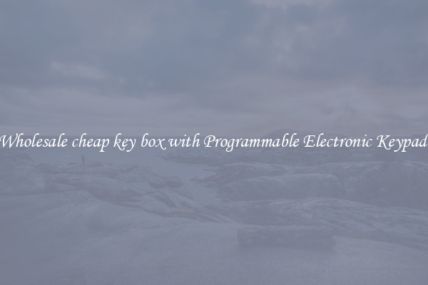 Wholesale cheap key box with Programmable Electronic Keypad 