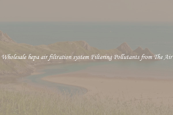 Wholesale hepa air filtration system Filtering Pollutants from The Air