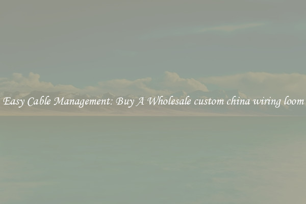 Easy Cable Management: Buy A Wholesale custom china wiring loom
