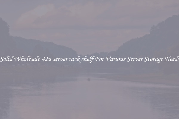 Solid Wholesale 42u server rack shelf For Various Server Storage Needs