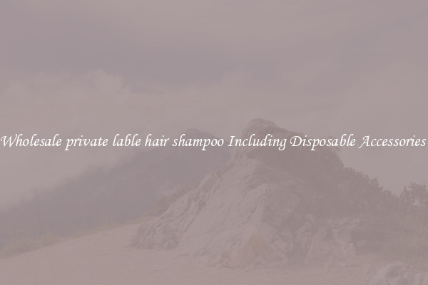 Wholesale private lable hair shampoo Including Disposable Accessories 