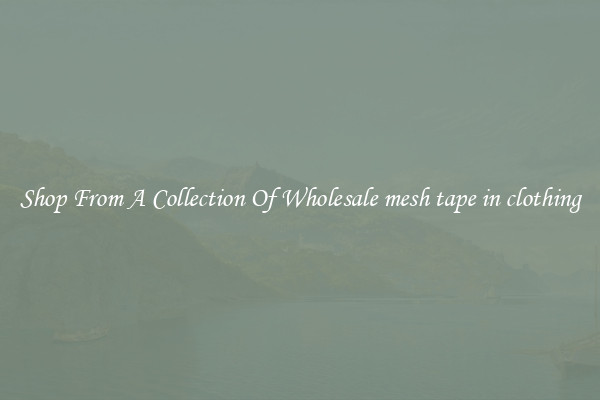 Shop From A Collection Of Wholesale mesh tape in clothing