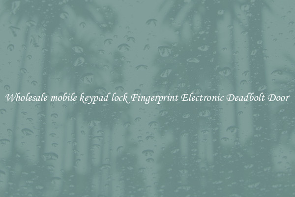 Wholesale mobile keypad lock Fingerprint Electronic Deadbolt Door 