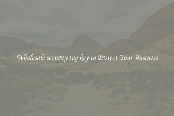 Wholesale security tag key to Protect Your Business
