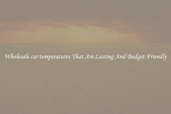 Wholesale car temperatures That Are Lasting And Budget-Friendly
